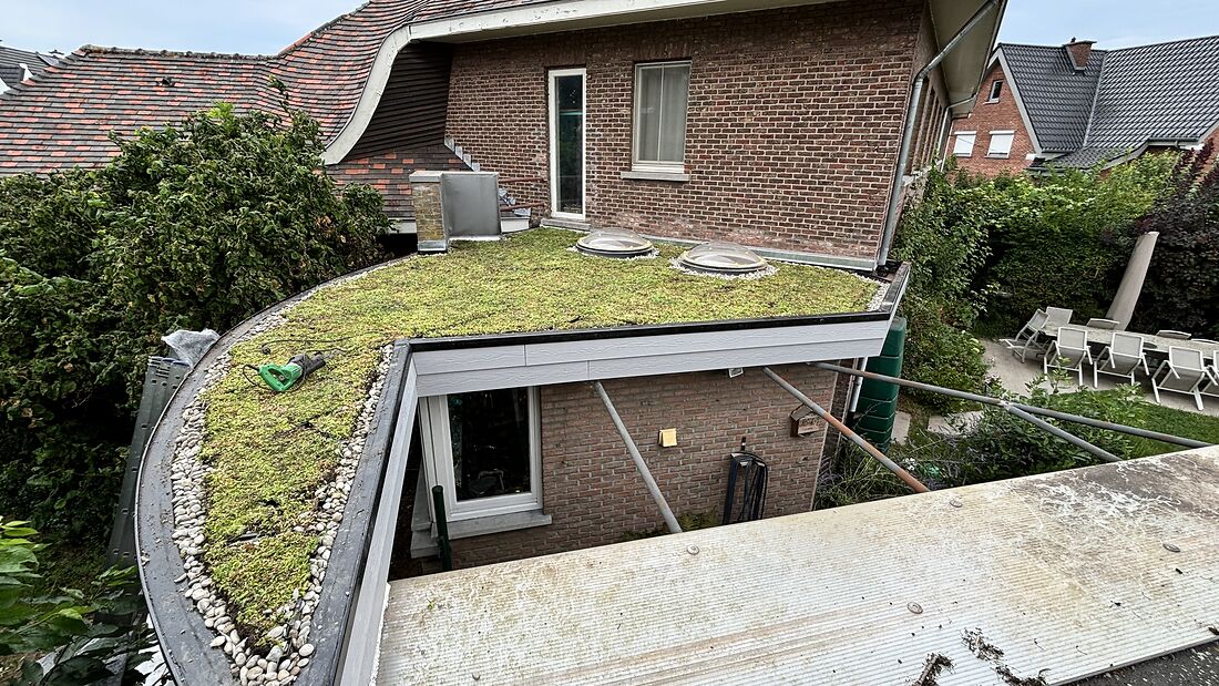 Groendak (sedum) op een plat dak met EPDM door Pierre Constructions